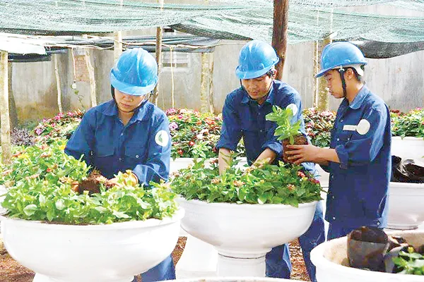 Công ty CP Công trình đô thị Gia Lai Đổi mới để phát triển ảnh 4 Công ty CP Công trình đô thị Gia Lai Đổi mới để phát triển ảnh 4