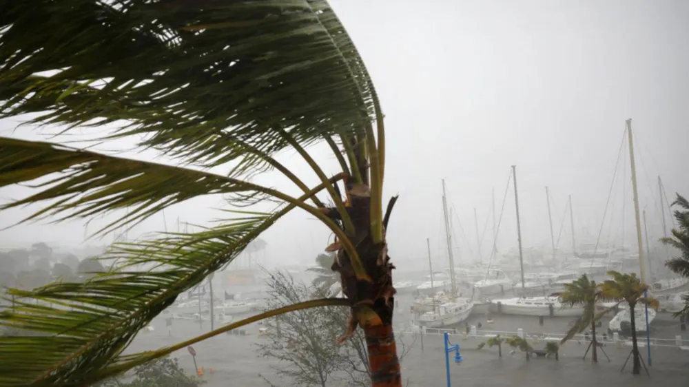 Bão Irma quét qua, các thành phố lớn bang Florida chìm trong nước biển ảnh 10 Bão Irma quét qua, các thành phố lớn bang Florida chìm trong nước biển ảnh 10
