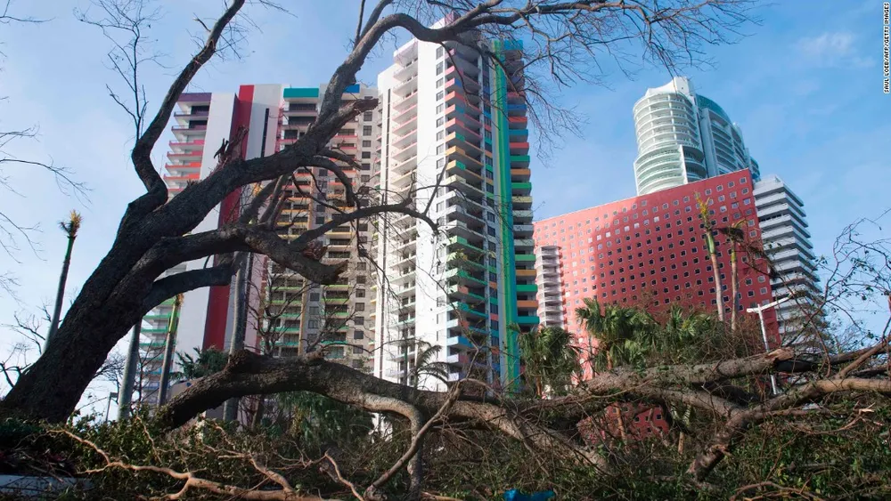 Florida tan hoang sau bão Irma ảnh 21