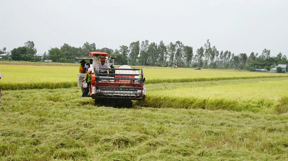 ĐBSCL là vùng sản xuất nông nghiệp trọng điểm, nên nhu cầu sử dụng máy móc rất lớn