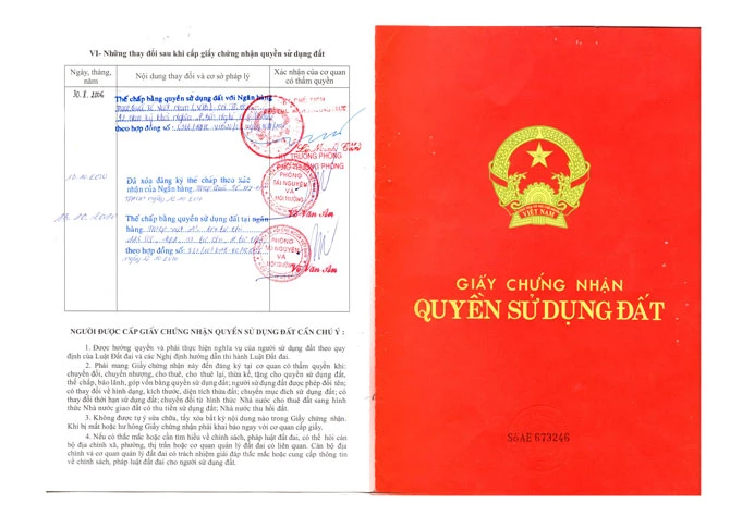 Công ty bất động sản Anh Luân: Chuyển nhượng đất vàng