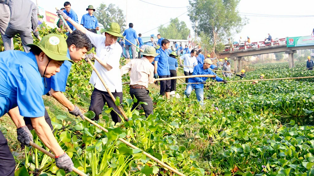 Đoàn viên, thanh niên TPHCM tích cực tham gia bảo vệ môi trường