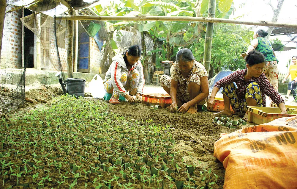 Nông dân miền Trung chuẩn bị vào mùa sau lũ bão ảnh 2