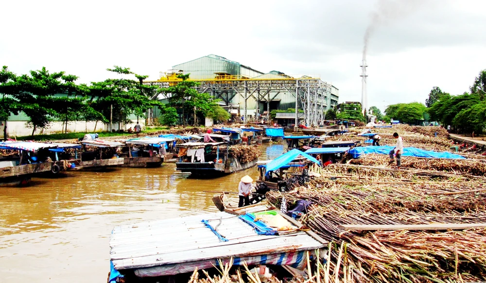 Áp lực ngày càng đè nặng lên ngành mía đường trong quá trình hội nhập