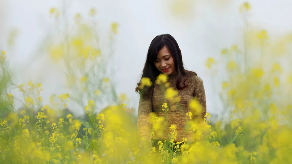 Ngắm hoa cải vàng rực rỡ trong nắng đông ảnh 8