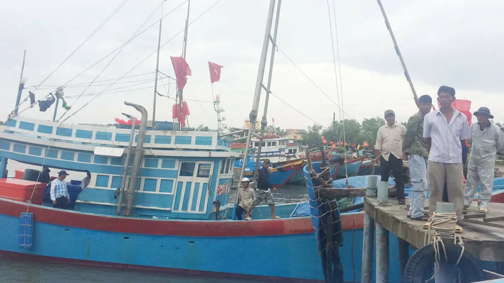 TPHCM đã chuẩn bị ứng phó bão số 16 (bão Tembin) ảnh 6