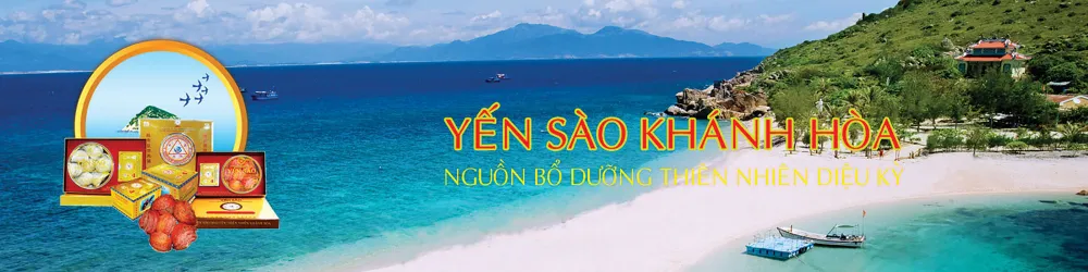 Một ngày trên đảo yến ảnh 3 Một ngày trên đảo yến ảnh 3