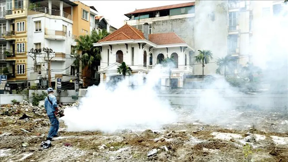 Bộ Y tế kêu gọi người dân phòng chống dịch bệnh tay chân miệng, sởi và sốt huyết ảnh 3