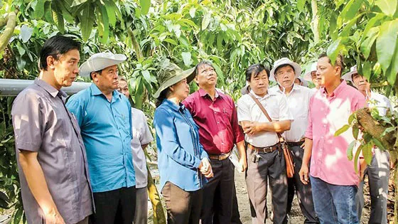 Bảy Núi vào mùa trẩy hội ảnh 1 Bảy Núi vào mùa trẩy hội ảnh 1