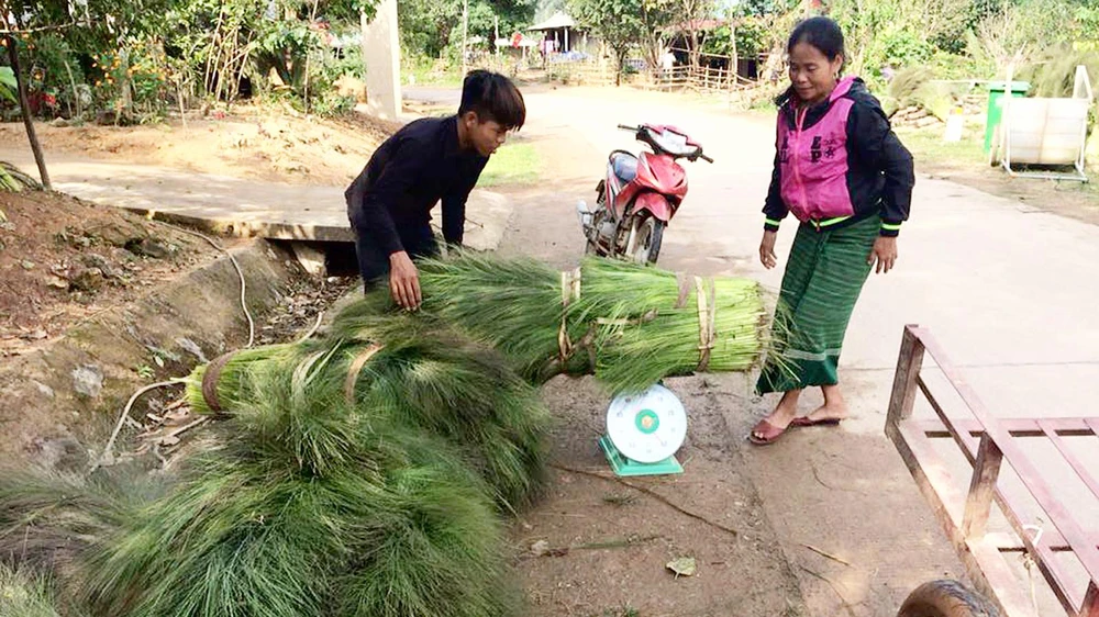 Người bản Khe Cát bán đót