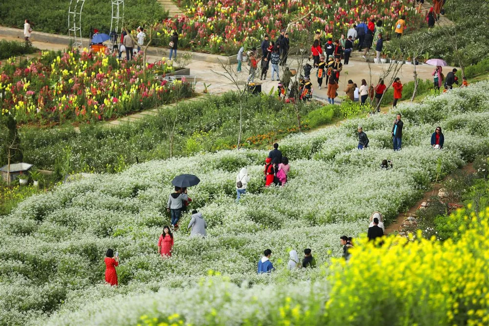 Tặng nàng cả đỉnh Fansipan nhân ngày của phái đẹp ảnh 4
