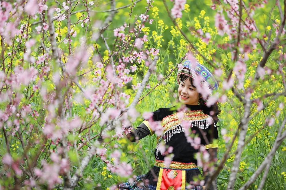 Tặng nàng cả đỉnh Fansipan nhân ngày của phái đẹp ảnh 3