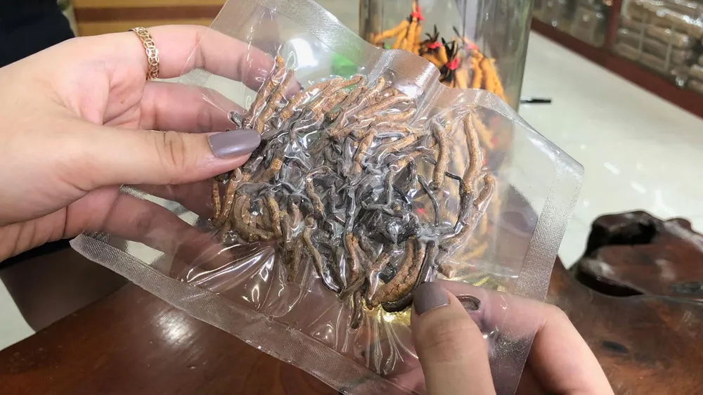 Thật - giả “tiên dược” đông trùng hạ thảo - Bài 1: Lạc vào ma trận ảnh 2