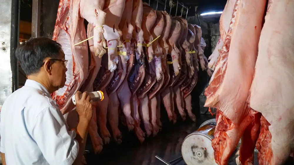Lực lượng chức năng kiểm tra thịt heo trước khi đưa vào chợ đầu mối Hóc Môn. Ảnh: HOÀNG HÙNG