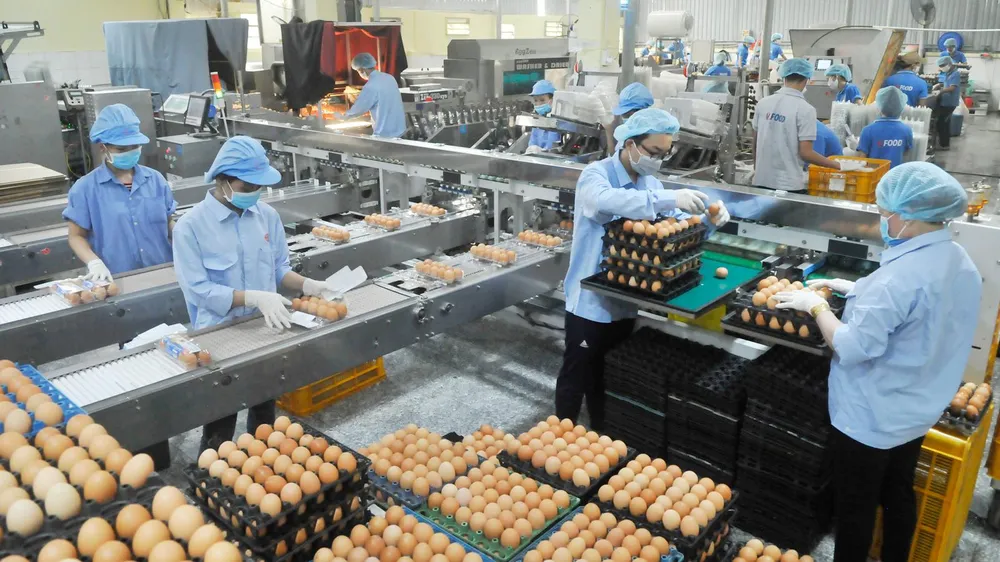 TPHCM triển khai chương trình bình ổn thị trường 2019 ảnh 1 TPHCM triển khai chương trình bình ổn thị trường 2019 ảnh 1