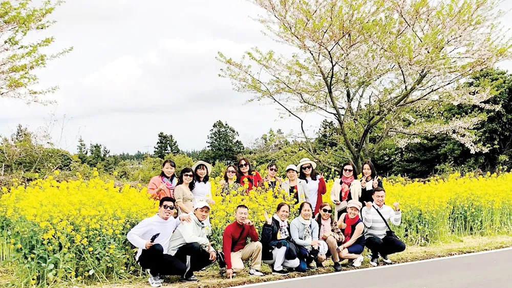Du xuân Hàn Quốc ngắm hoa anh đào cùng Pymepharco ảnh 1