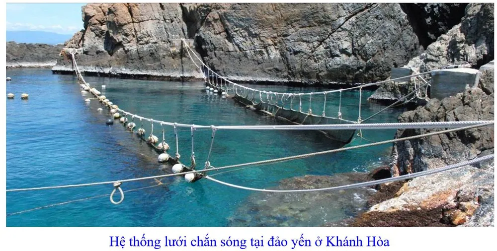 Phát triển bền vững nghề nuôi chim Yến tại Nam Trung bộ và Tây Nguyên ảnh 15