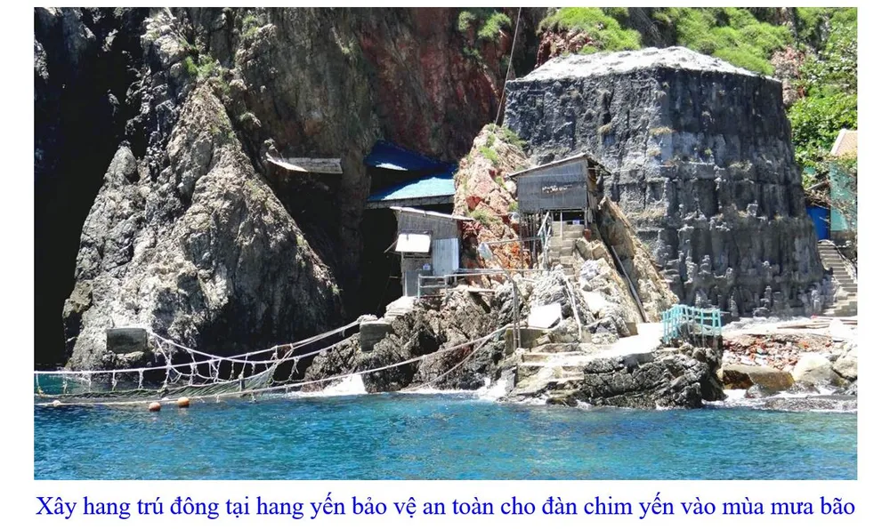 Phát triển bền vững nghề nuôi chim Yến tại Nam Trung bộ và Tây Nguyên ảnh 16