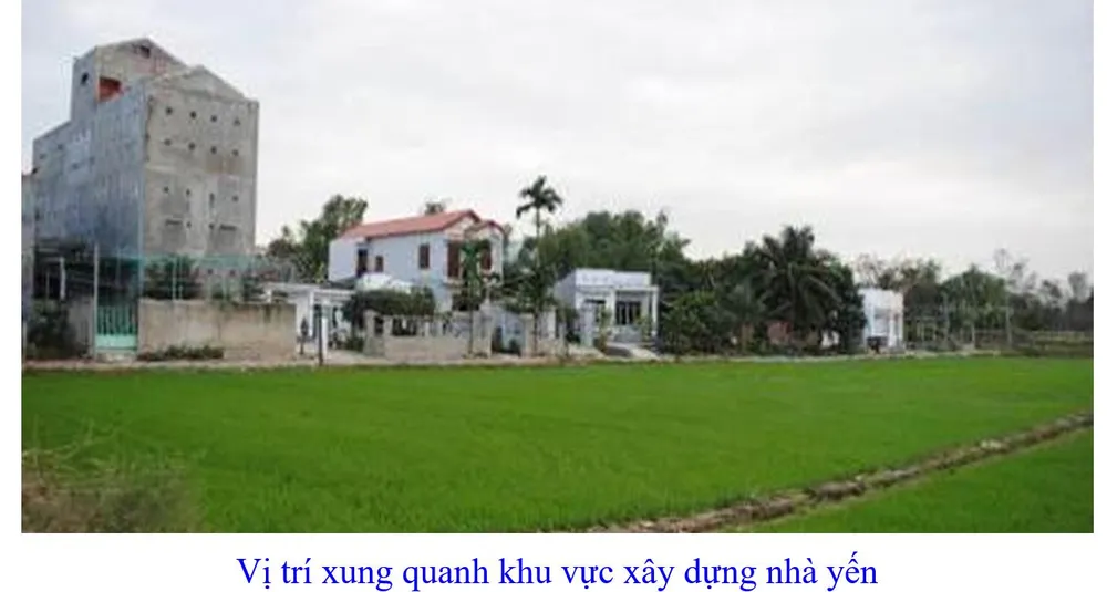 Phát triển bền vững nghề nuôi chim Yến tại Nam Trung bộ và Tây Nguyên ảnh 17