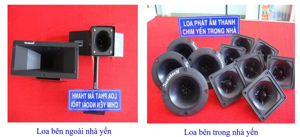 Phát triển bền vững nghề nuôi chim Yến tại Nam Trung bộ và Tây Nguyên ảnh 20