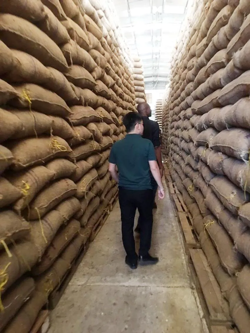 T&T Group ký hợp đồng lớn nhất trong lịch sử ngành điều thế giới ảnh 3