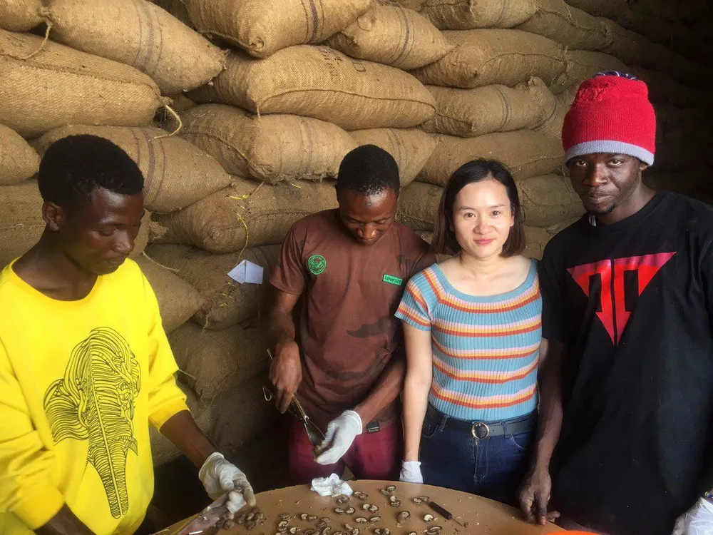 T&T Group ký hợp đồng lớn nhất trong lịch sử ngành điều thế giới ảnh 2