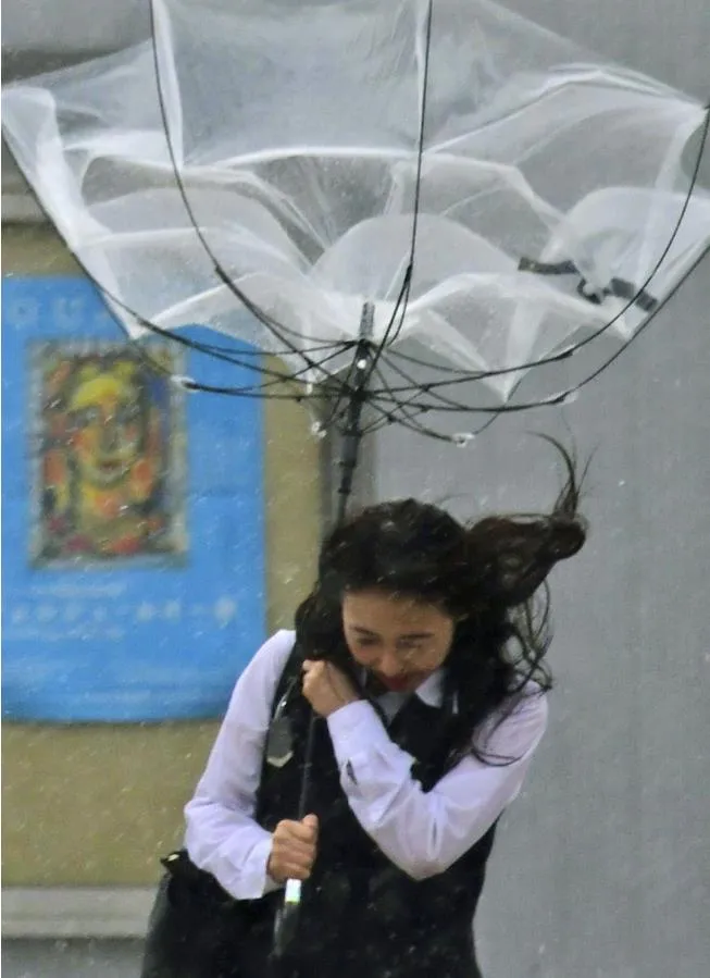 Siêu bão Faxai đổ bộ Nhật Bản, giao thông nhiều nơi tê liệt ảnh 4