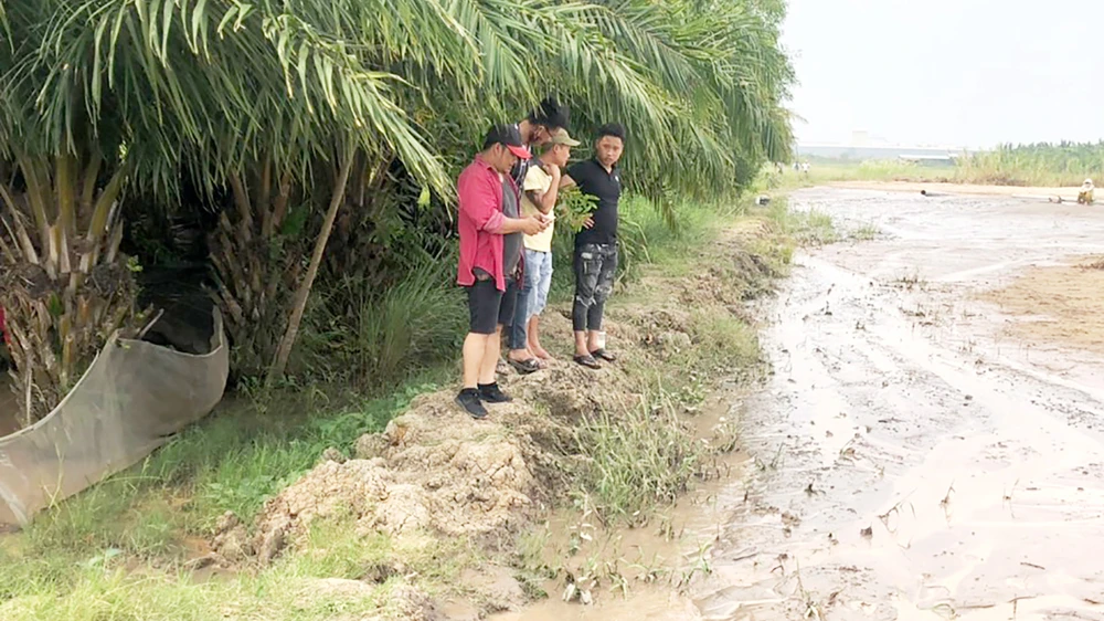 Một số thanh niên do đối tượng Cọp (ngoài cùng, đội nón) cầm đầu “bảo kê” cho việc bơm cát san lấp đất của dân