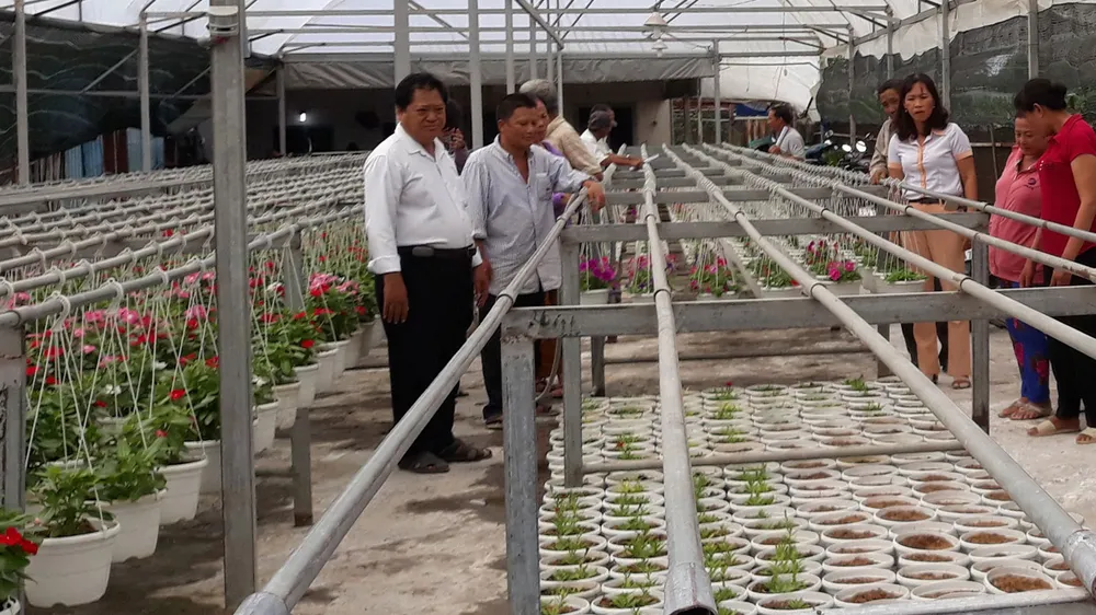 Nông dân ở nhiều huyện ngoại thành TPHCM chuyển qua trồng hoa kiểng, phù hợp với nền nông nghiệp đô thị. Ảnh: Minh Hiếu
