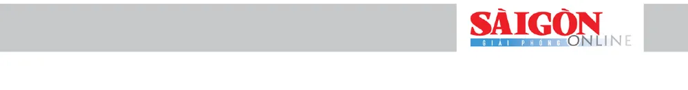 Trải nghiệm “buýt mui trần” tại TPHCM ảnh 15