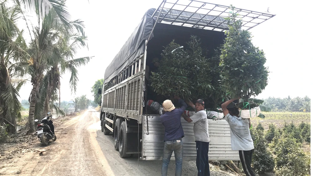 Các tuyến đường nội đồng được xây dựng, mở rộng để xe tải lớn vào tận nơi vận chuyển