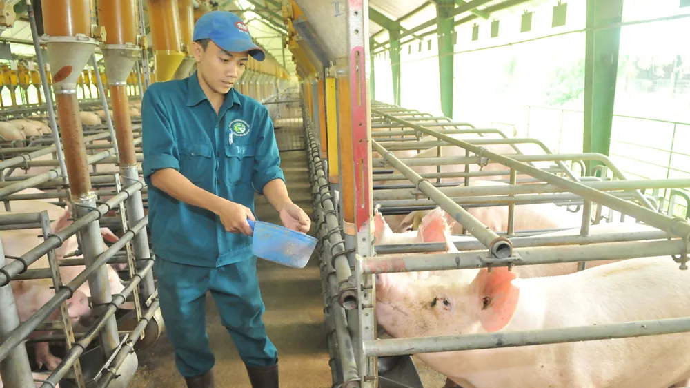 Đề xuất các chính sách và giải pháp thực hiện ảnh 1 Đề xuất các chính sách và giải pháp thực hiện ảnh 1