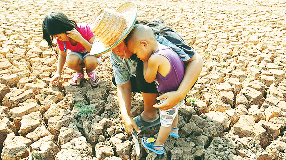 Một phụ nữ Thái Lan bắt ốc trong các vết nứt của một hồ khô hạn ở tỉnh Udon Thani. Ảnh: EPA