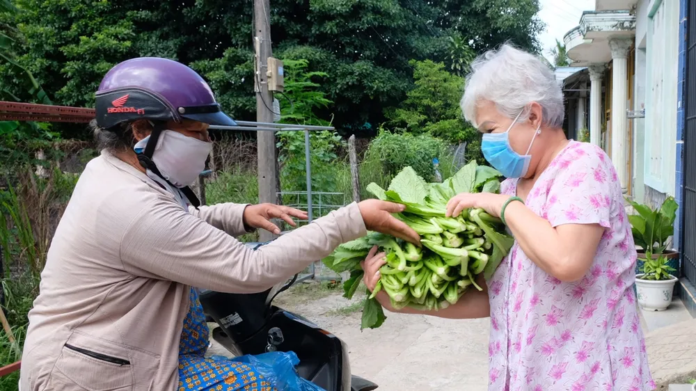 Bó rau mùa dịch