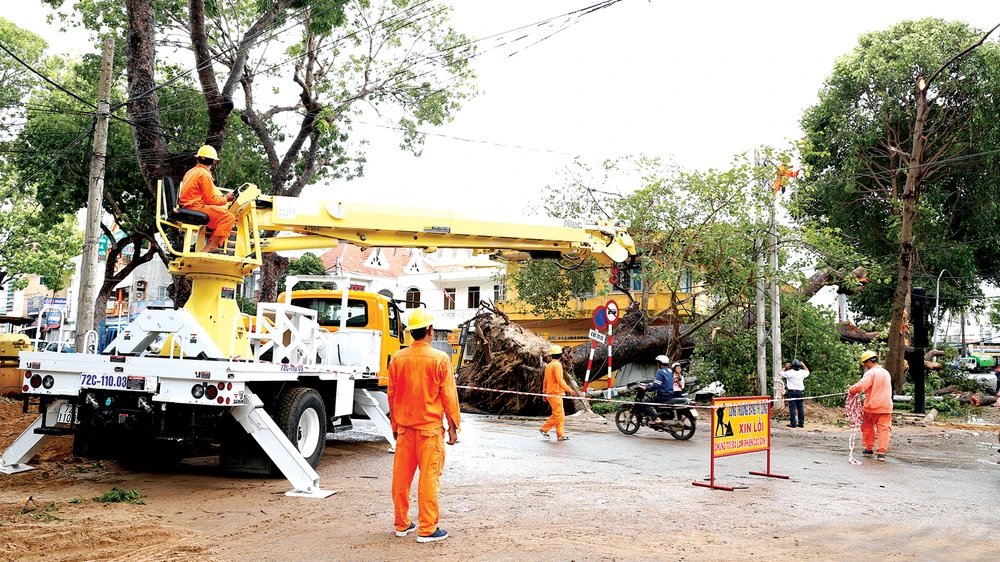 Khắc phục sự cố lưới điện do bão làm cây cổ thụ ngã tại TP. Vũng Tàu