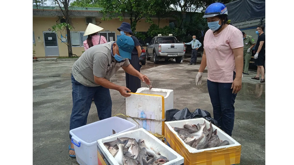 Anh Lê Văn Hải và chị Nguyễn Thị Kim Oanh nhận các thùng hải sản từ Quảng Bình chuyển tặng bà con TPHCM