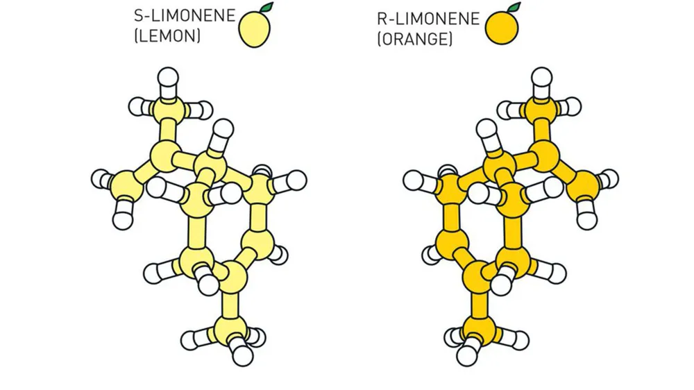 Giải Nobel Hóa học 2021 vinh danh hai nhà khoa học nghiên cứu về chất hữu cơ bất đối xứng làm xúc tác ảnh 3