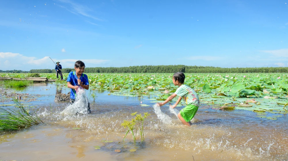 Những ký ức nông thôn 