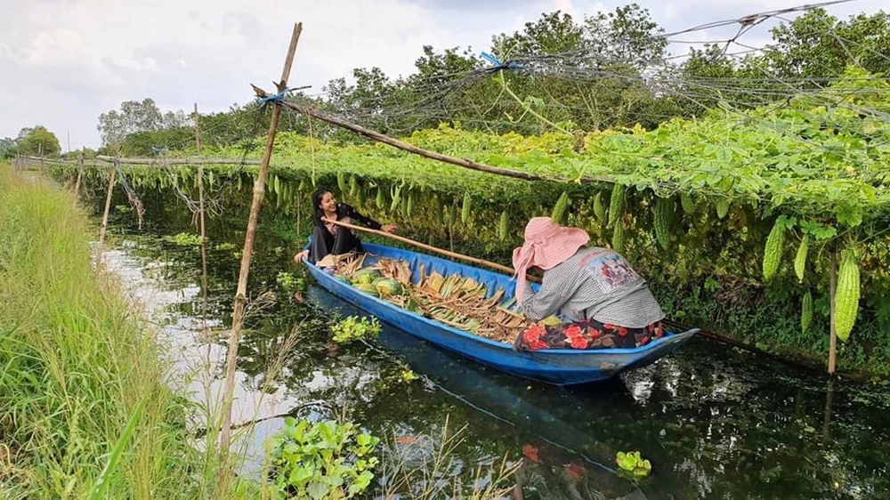 Chiếc xuồng con, ghe nhỏ thân thuộc nơi miền sông nước. Ảnh: TUẤN NGUYỄN