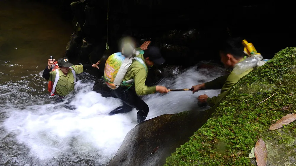 “Biệt đội” giải cứu thú rừng ảnh 2 “Biệt đội” giải cứu thú rừng ảnh 2