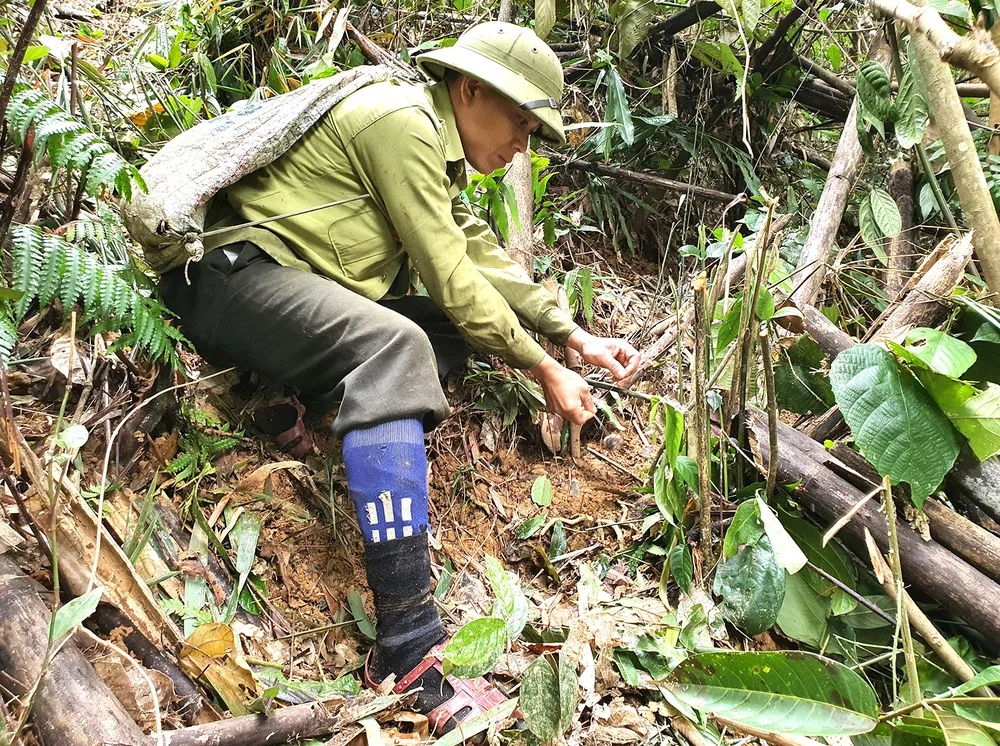 “Biệt đội” giải cứu thú rừng ảnh 6 “Biệt đội” giải cứu thú rừng ảnh 6