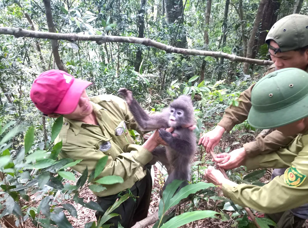 “Biệt đội” giải cứu thú rừng ảnh 4 “Biệt đội” giải cứu thú rừng ảnh 4