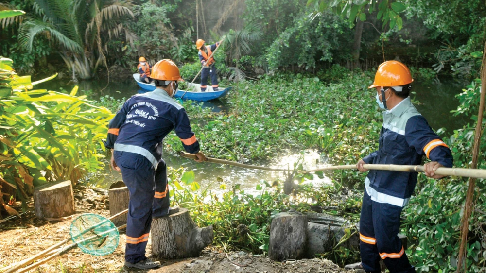 Vớt lục bình khơi thông rạch tại quận 4 (TPHCM)