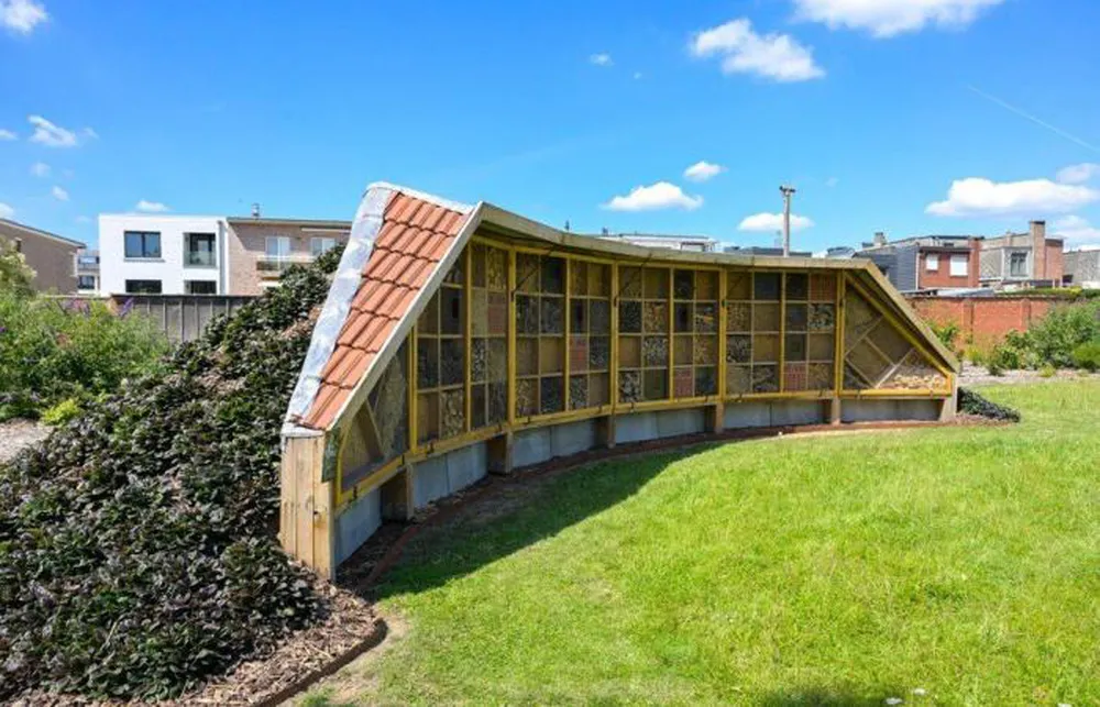 Khánh thành “khách sạn côn trùng” lớn nhất ở Bỉ  ảnh 2