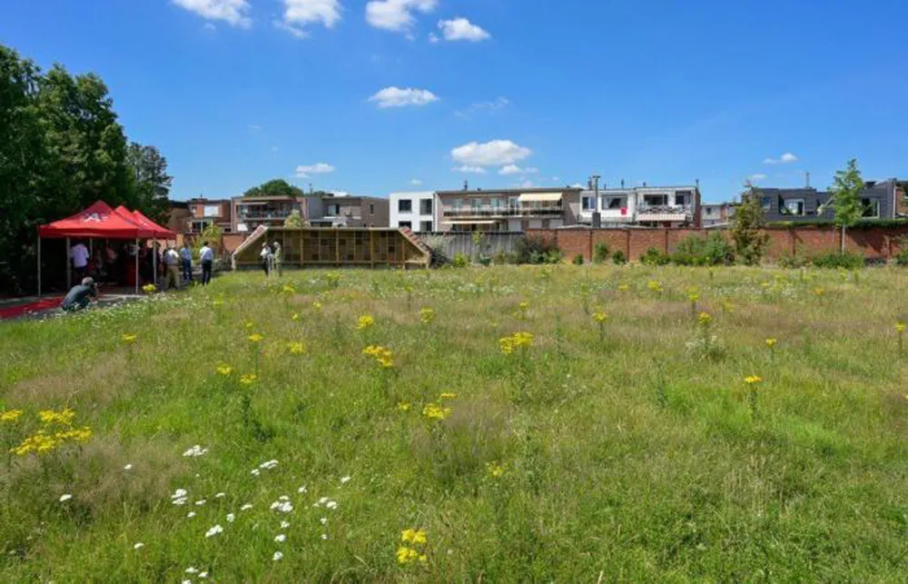 Khánh thành “khách sạn côn trùng” lớn nhất ở Bỉ  ảnh 3