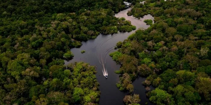 Brazil công nhận 6 khu vực người bản địa