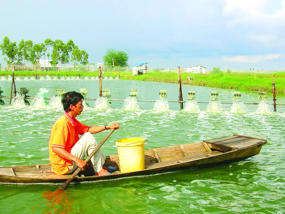 Vùng nuôi thủy sản cũng cần gắn kết với HTX để chủ động cung cấp nguồn nguyên liệu cho các doanh nghiệp xuất khẩu. Ảnh: CAO PHONG Vùng nuôi thủy sản cũng cần gắn kết với HTX để chủ động cung cấp nguồn nguyên liệu cho các doanh nghiệp xuất khẩu. Ảnh: CAO PHONG