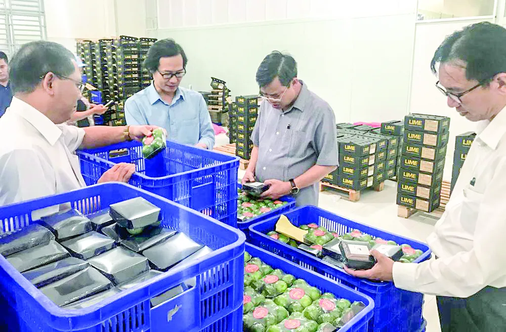 Lãnh đạo tỉnh Hậu GIang tham quan cơ sở sản xuất của HTX Trái cây sinh học OCOP Lãnh đạo tỉnh Hậu GIang tham quan cơ sở sản xuất của HTX Trái cây sinh học OCOP