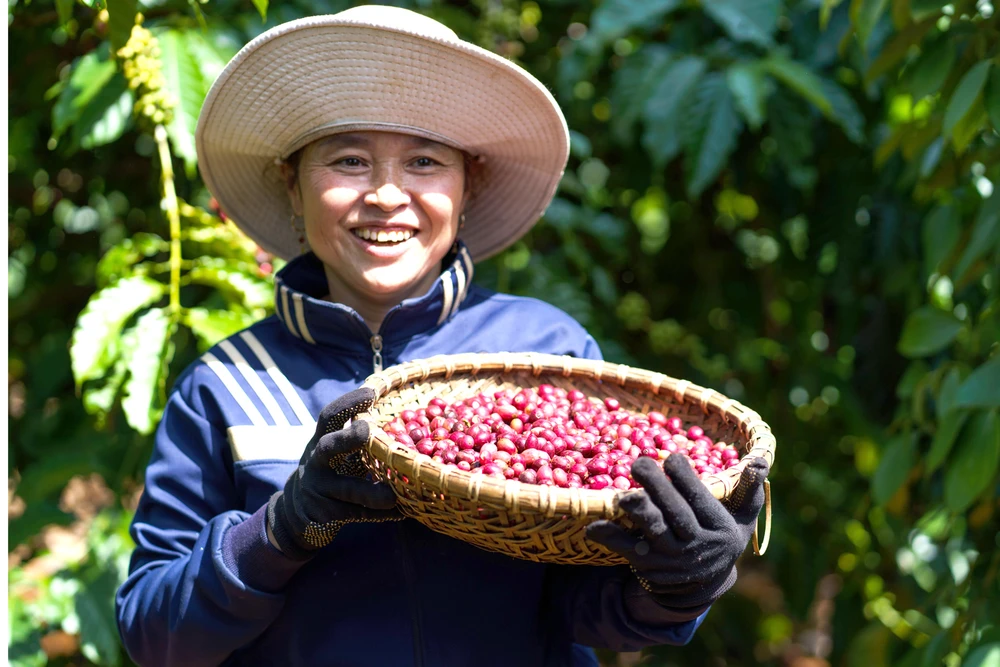 Nestlé thúc đẩy nền nông nghiệp phát thải thấp