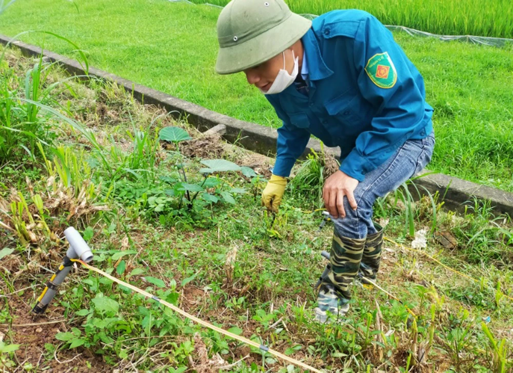 Nạn săn bắt giun bằng kích điện tại huyện Lập Thạch, tỉnh Vĩnh Phúc